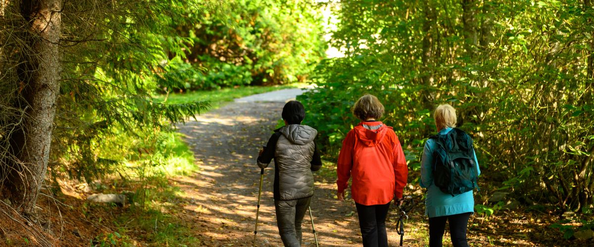 Group of women hiking in the forest