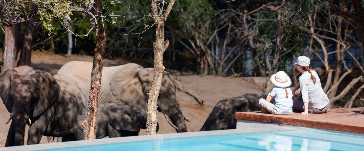 Mother and daughter in a safari camp viewing elephants