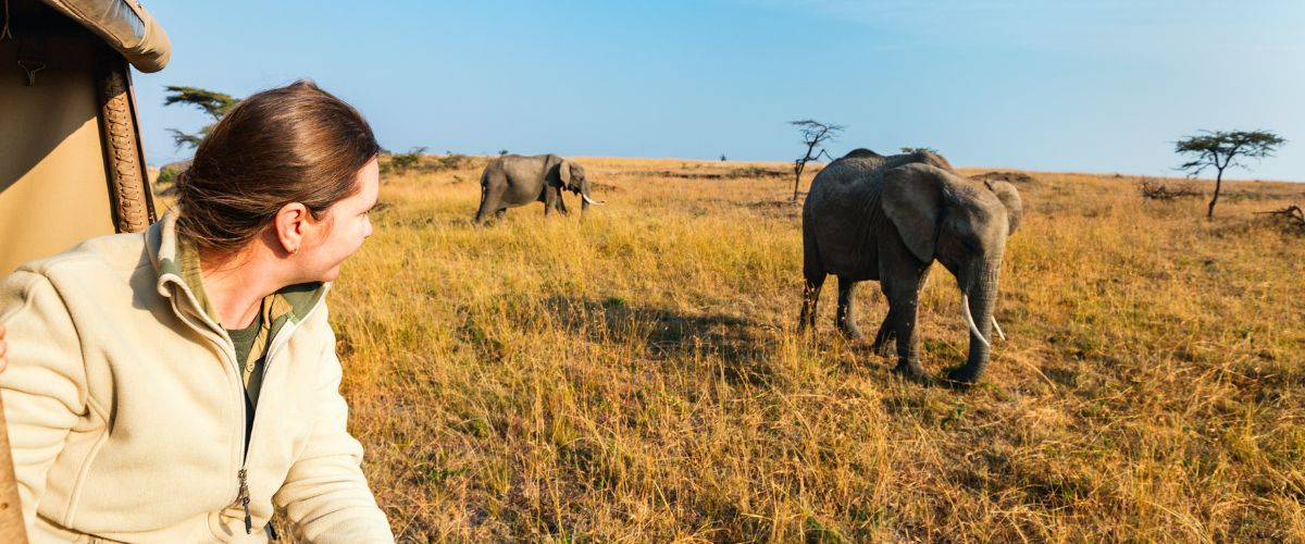Woman on African safari with elephants