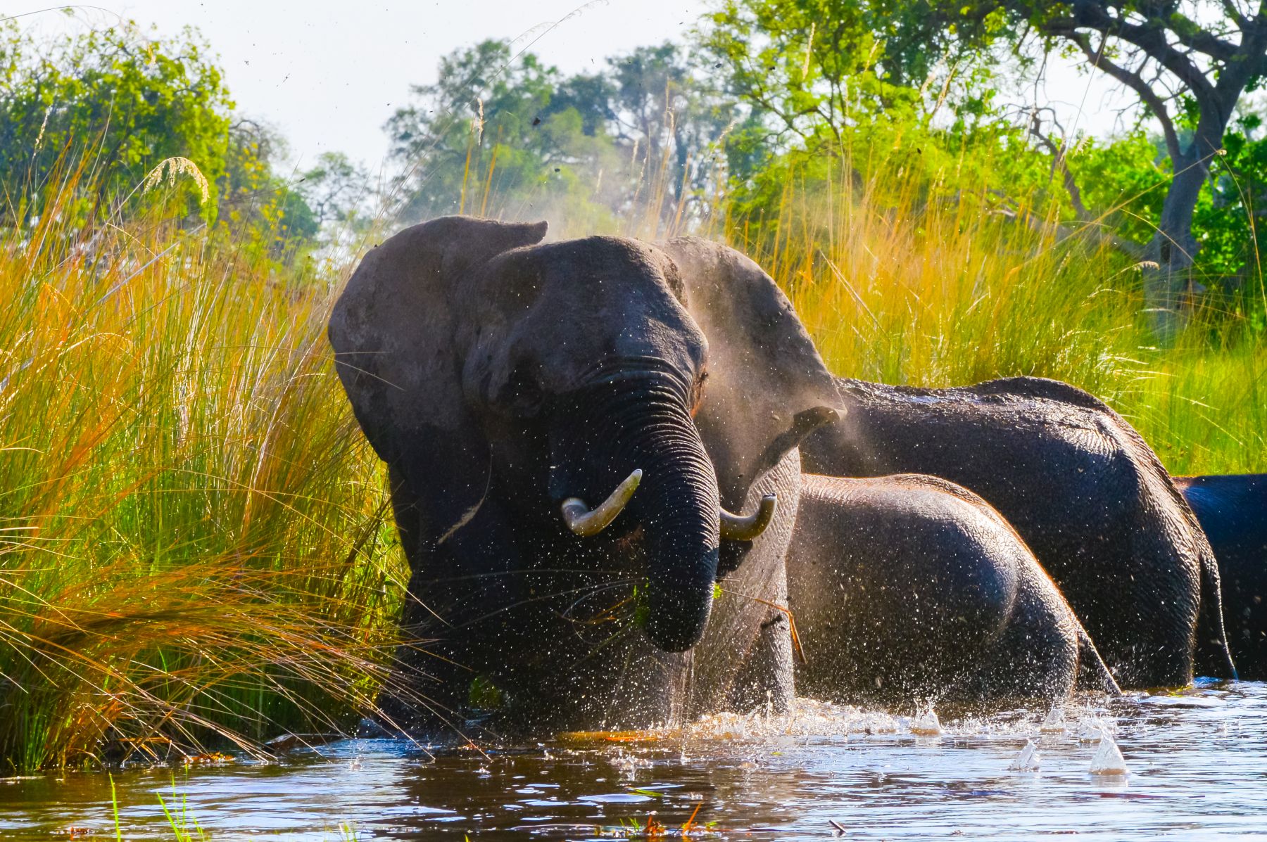 Benefits of a 4WD SelfDrive Safari Back Track Adventures