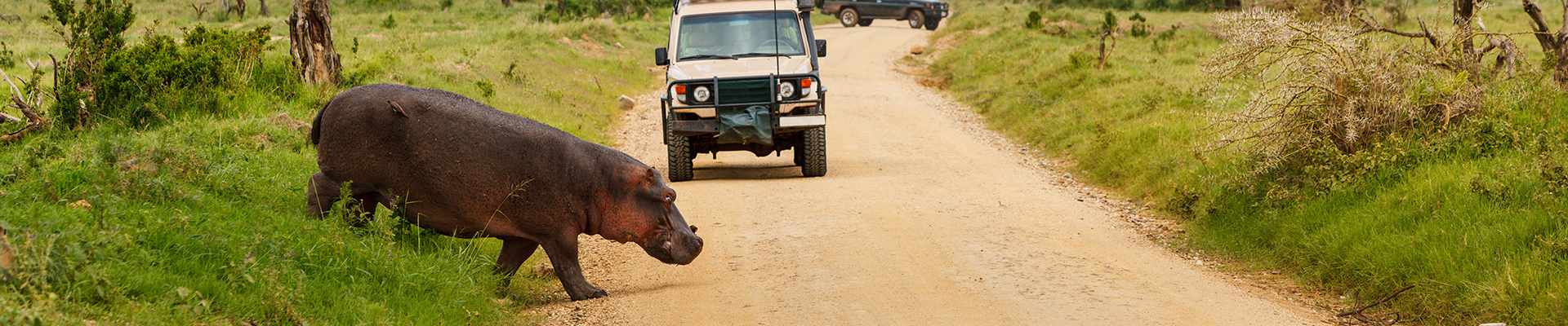 Serengeti National Park