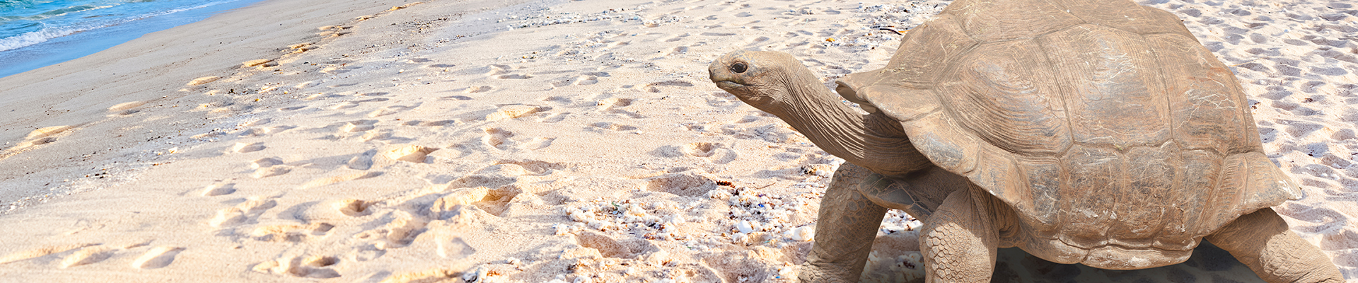 Galapagos Islands