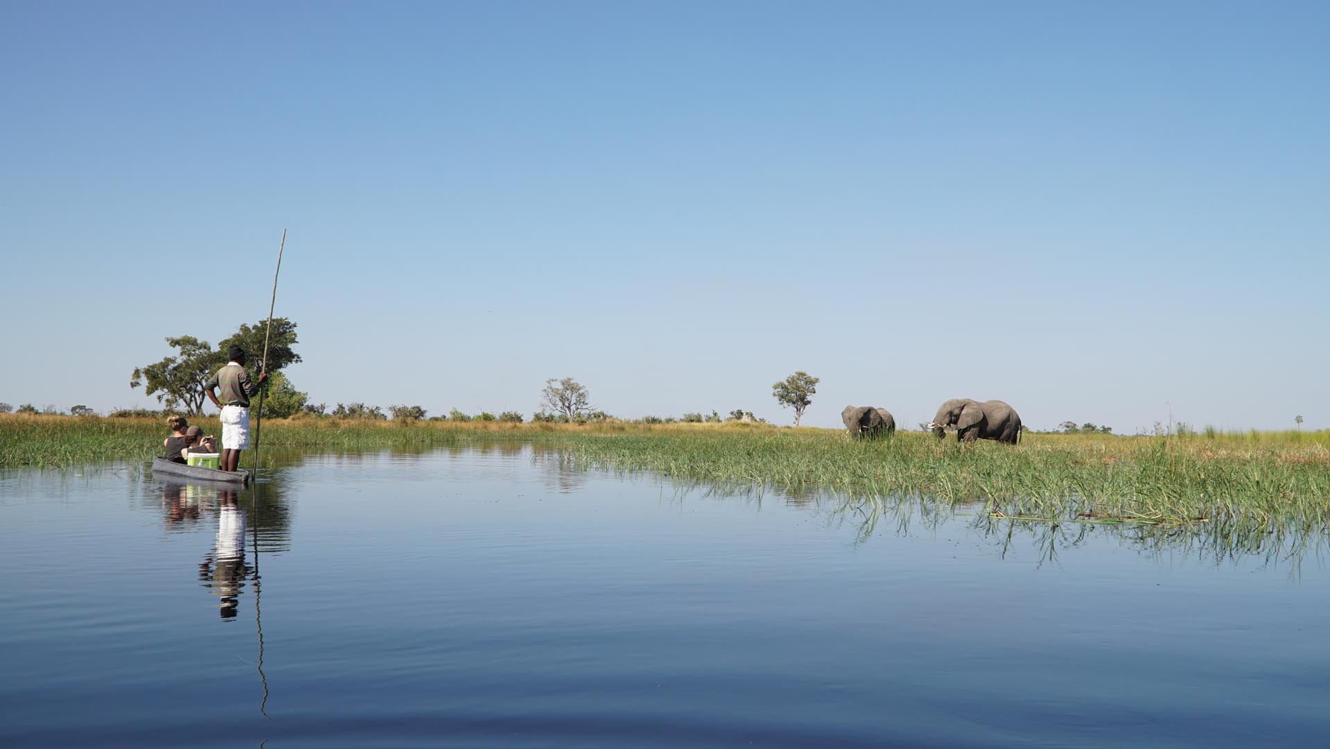 Okavanga Delta