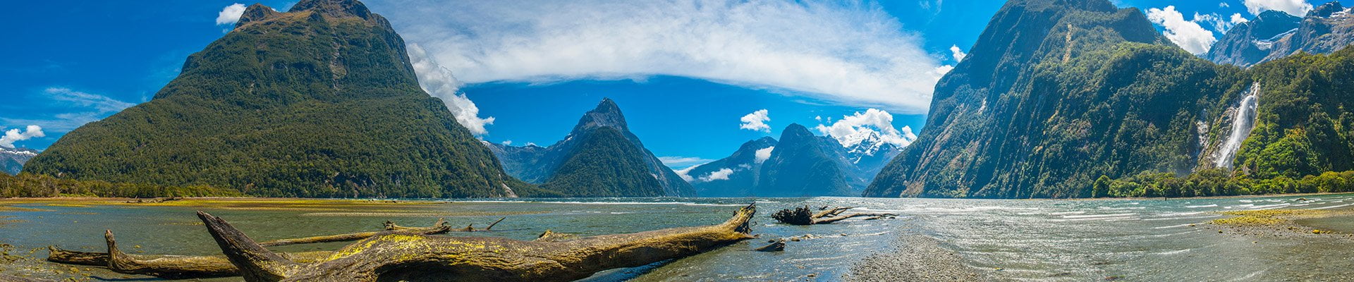 New Zealand & South Pacific
