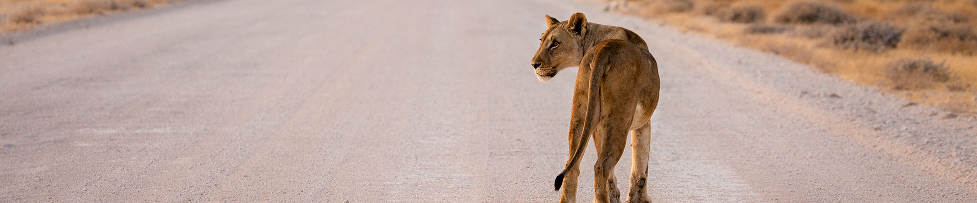 Namibia