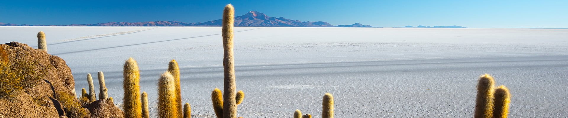 Salar de Uyuni