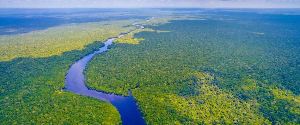 Amazon River
