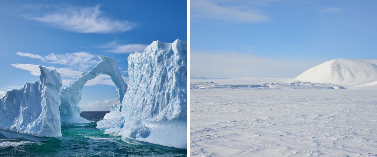 Antarctica vs Arctic