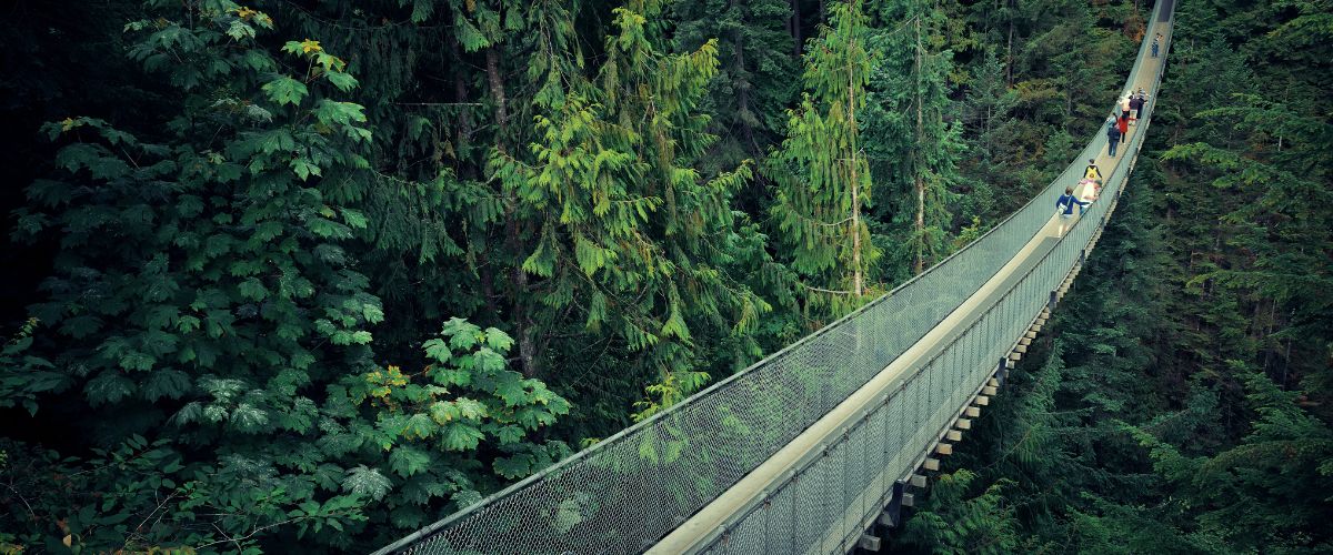 Capilano Suspension Bridge